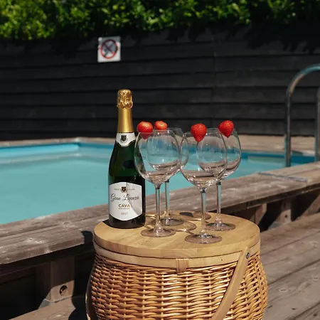 Vakantiehuis Luxe Nova Met Zwembad Ouddorp