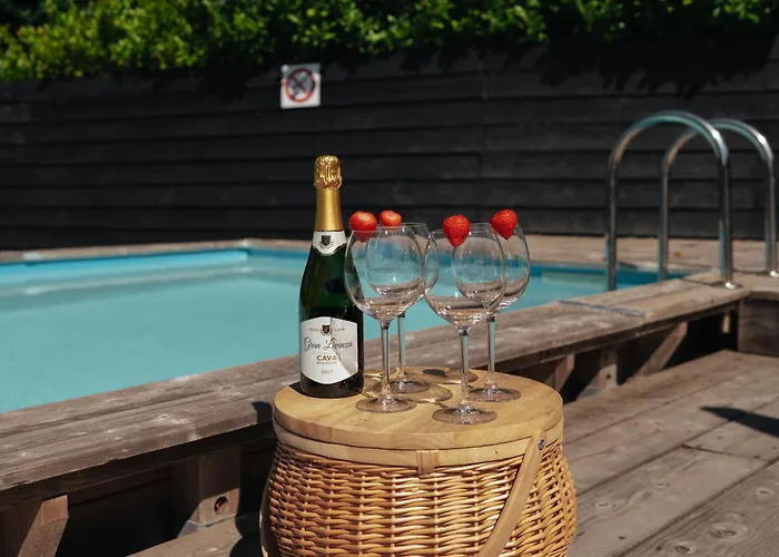 Semesterbostad Luxe Nova Met Zwembad Ouddorp